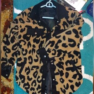 Small Cheetah sherpa